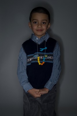 Ray Flash + SB-900 only